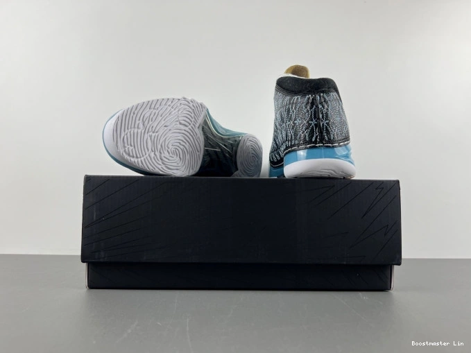 Boostmaster lin UNC 318376-041 Jordan 23 0723